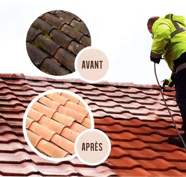 Démoussage de toiture Pamiers